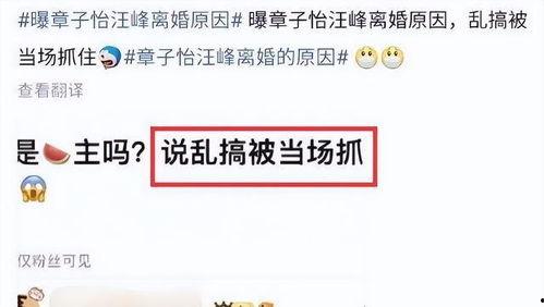 刘大锤爆料最新消息,最新热点事件内幕大揭秘! 第1张 刘大锤爆料最新消息,最新热点事件内幕大揭秘! 第1张
