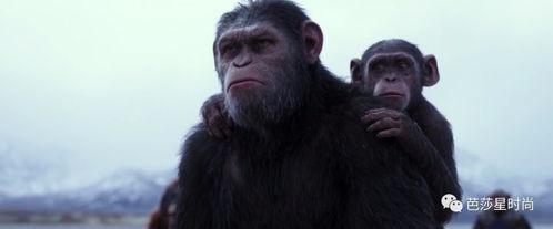 猩猿崛起3在线观看,命运之战在线观影指南:揭秘猿类新纪元的命运抉择 第3张 猩猿崛起3在线观看,命运之战在线观影指南:揭秘猿类新纪元的命运抉择 第3张